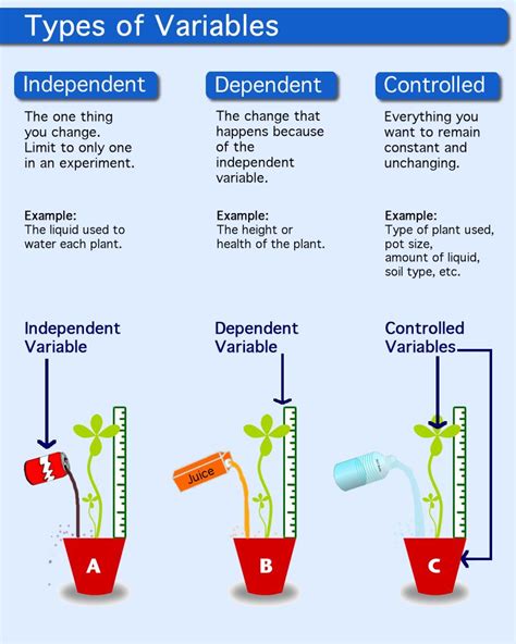 5 Ways Define Independent Variable