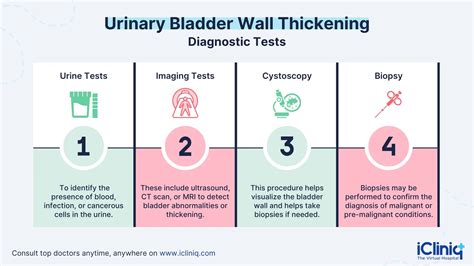 What Is Bladder Wall Thickening Koru Hospital