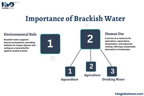 5 Facts Brackish Water