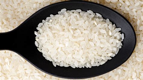 What Is Calrose Rice And How Do You Best Cook It What Is Calrose Rice And How Do You Best Cook It