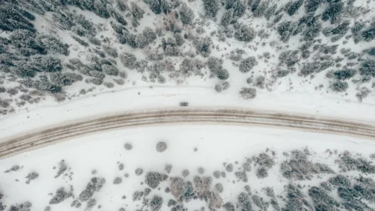 What Is Emergency Override