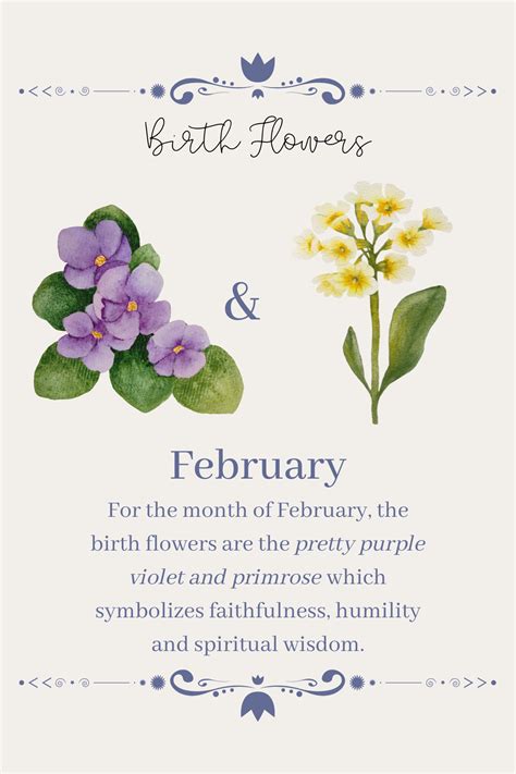 What Is February S Birth Flower The Two Official Flowers For February What Is February S Birth Flower The Two Official Flowers For February