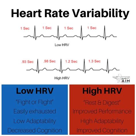 What Is Hrv The Importance Of Heart Rate Variability What Is Hrv The Importance Of Heart Rate Variability