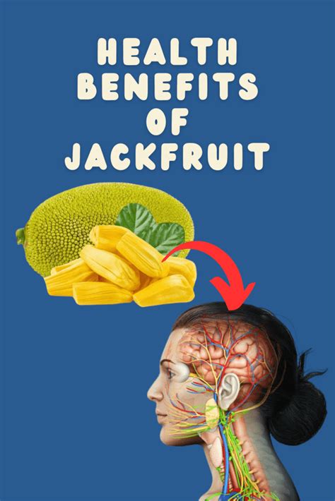 What Is Jackfruit And 12 Jackfruit Recipes Health Benefits