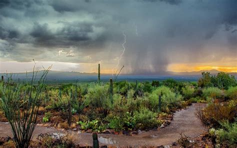 What Is Monsoon Season In Arizona At Kim Delapaz Blog