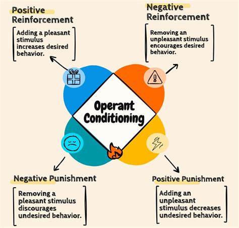 What Is Operant Conditioning Edugyan A Platform For