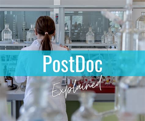 Unlocking Postdoc Opportunities: Insights Revealed