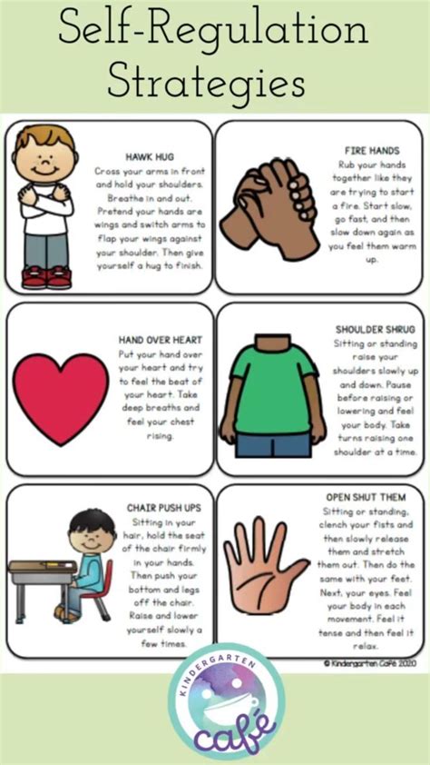 What Is Self Regulation 9 Skills And Strategies What Is Self Regulation 9 Skills And Strategies