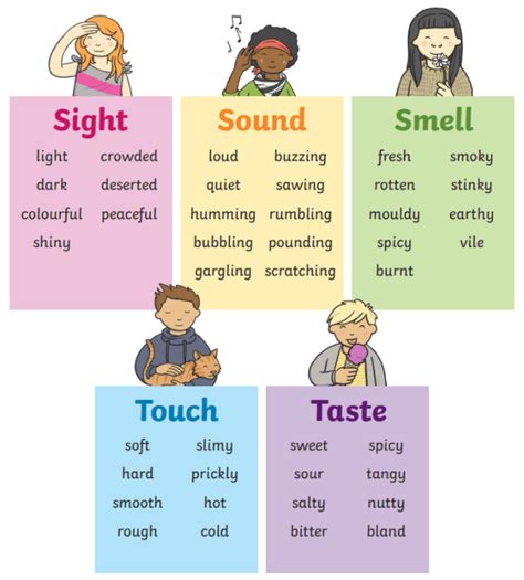 5 Ways Sensory Language Works