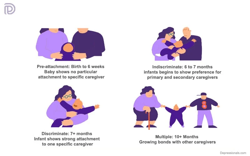 What Is The Attachment Theory By Mary Ainsworth At Edwin Frost Blog