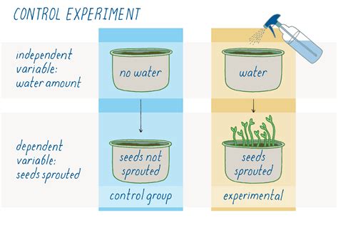 Control in Experiment Setup
