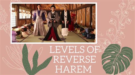 What Is The Difference Between Harem And Reverse Harem At Patrick