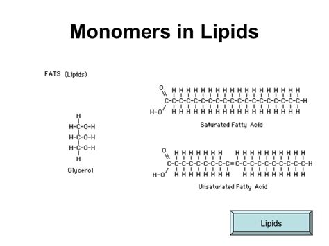 Lipid Monomer Basic Unit