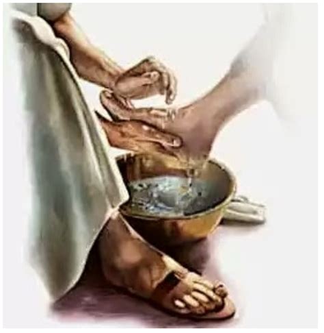 What S In Your Water Ashes Of The Red Heifer Part 2 Of 9 Emmaus Road Ministries