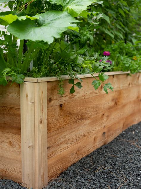 What S The Best Type Of Wood For Raised Beds Food Gardening Network What S The Best Type Of Wood For Raised Beds Food Gardening Network