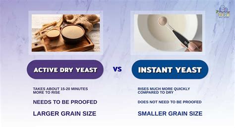 What S The Difference Between Fresh Active And Instant Yeast