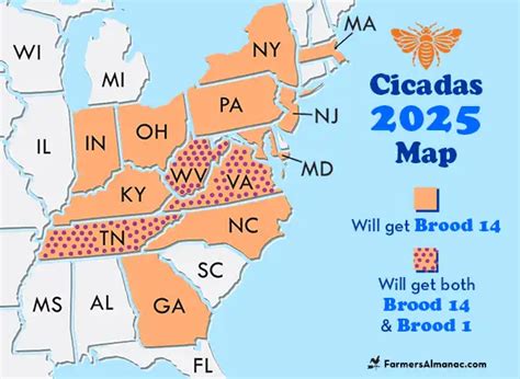 What States Will Cicadas Be In 2025 Piper Picton