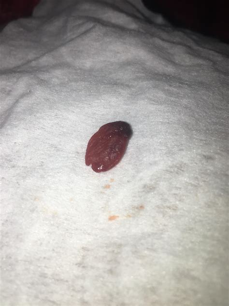 What The Hell Is This I M On My Period And It Just Came Out Of Me No What The Hell Is This I M On My Period And It Just Came Out Of Me No