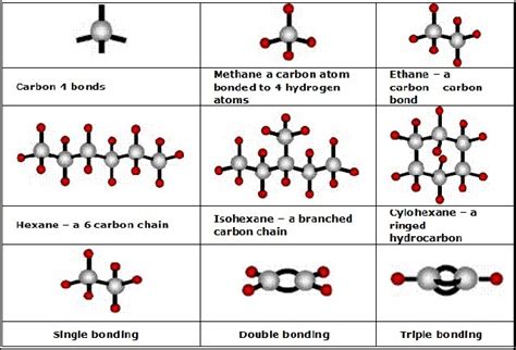 What Type Of Structures Can Carbon Atoms Form Brainly In