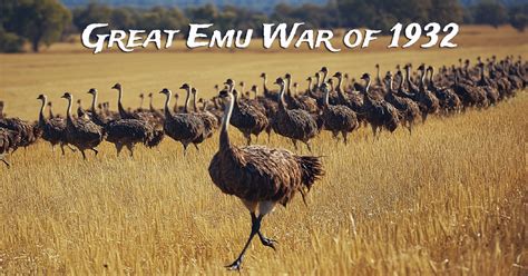 What Was The Emu War Of Australia And What Was The Outcome Scienceabc