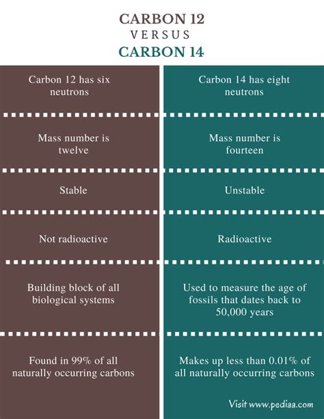 Unveiling Key Terms for Carbon 12 and Carbon 14 Mystery