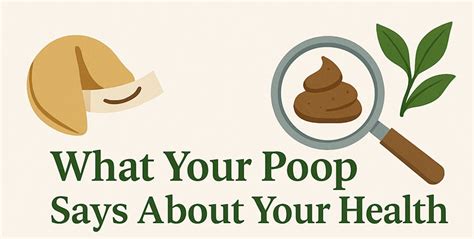 What Your Poop Says About Your Health Roseville Today What Your Poop Says About Your Health Roseville Today