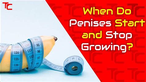 When Do The Penis Stop Growing Bed69