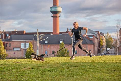 Which Bungee Leash Should I Choose For Activities With My Dog Non Which Bungee Leash Should I Choose For Activities With My Dog Non