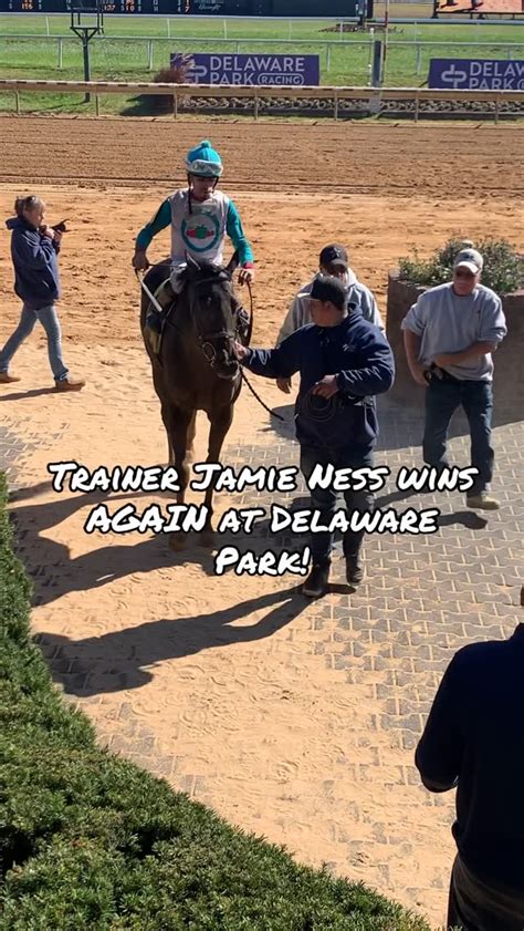 Which Iconic Commentary Line Sticks In Your Head The Most Horseracing Horsesofinstagram