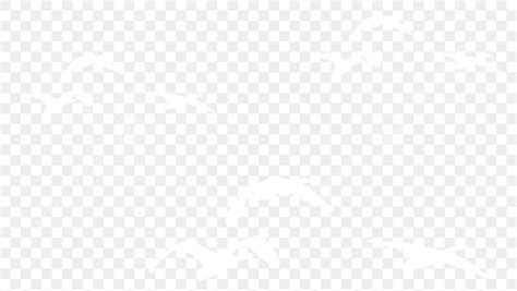 White Bird Group Tickets