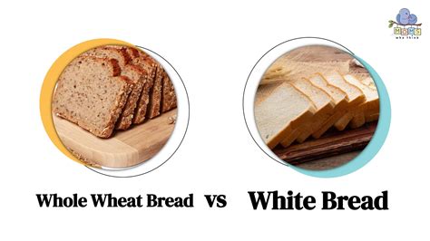 White Bread Vs Wheat Bread 3 Reasons Whole Wheat Wins White Bread Vs Wheat Bread 3 Reasons Whole Wheat Wins