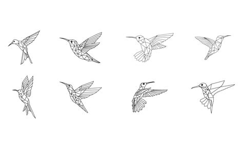 White Hummingbird Tattoos Premium Vector Hummingbird In Modern