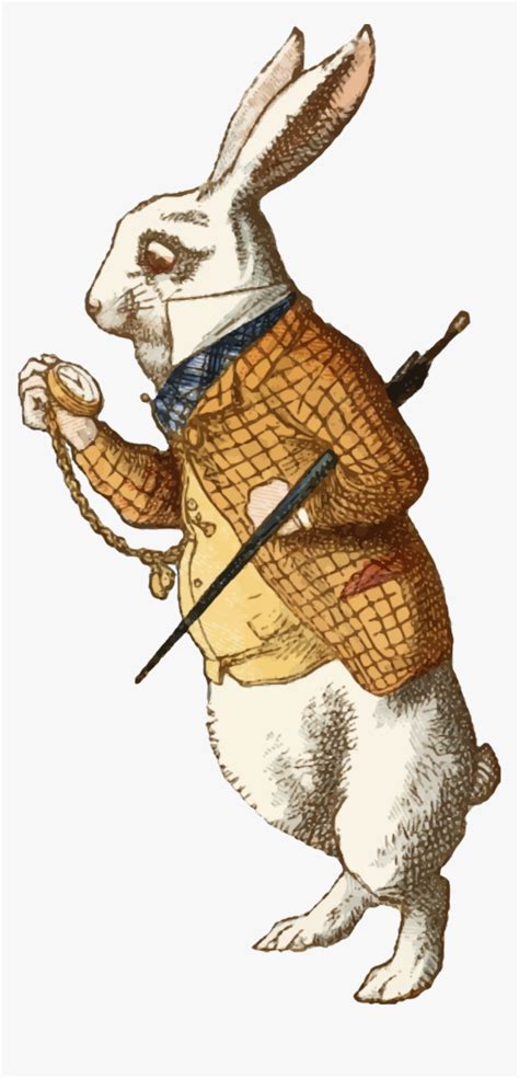 White Rabbit Alice In Wonderland Rabbit Alice In Wond Vrogue Co