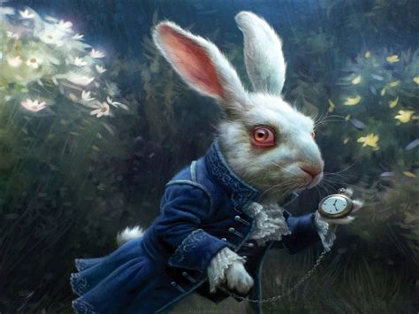 Alice Meets White Rabbit
