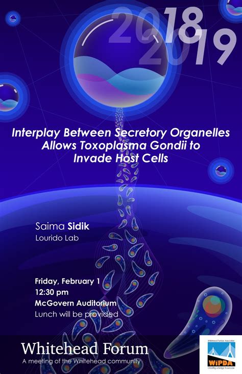 Whitehead Institute Wipda Forum Poster 10 Mcgovern Whitehead Forum