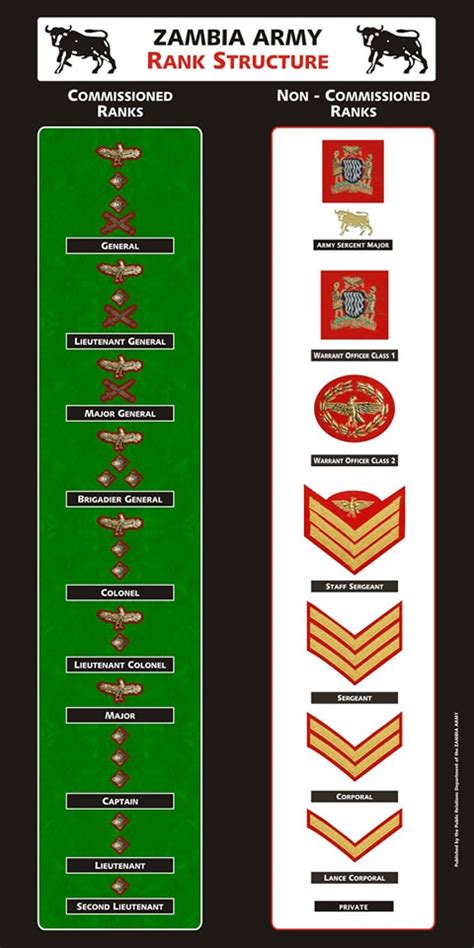 Who Are Commissioned And Non Commissioned Officers In Zambia Army Zaf