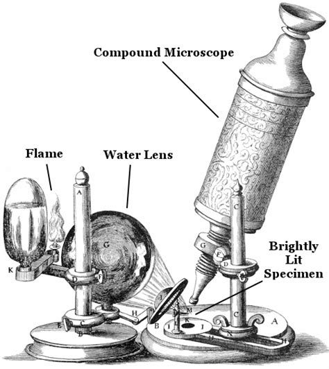 Who Developed The First Microscope
