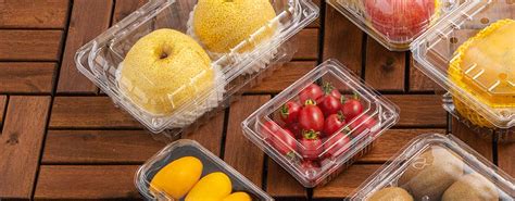 Wholesale Disposable Fruit Containers Supplier Factory Lesui