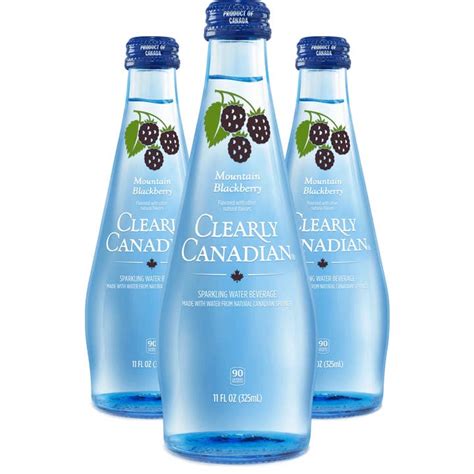 Wholesale Mountain Blackberry Sparkling Water For Your Store Faire