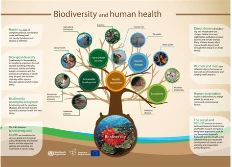 Why Biodiversity Is Important To Human Health The National