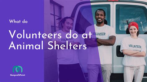 Why Do Animal Shelters Need Volunteers At John Gemmill Blog
