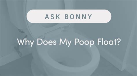 Why Does My Poop Float Bonny Fiber Supplements