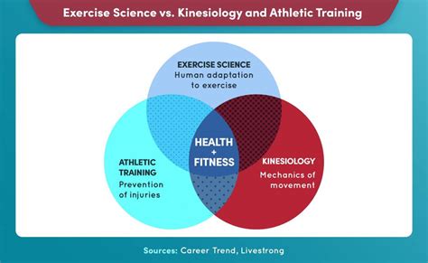 Why Exercise Science Degrees Online Are A Smart Choice