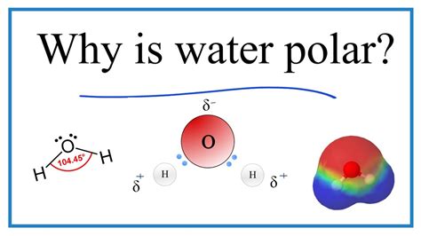 H2O is Polar