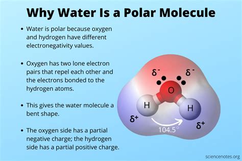 Water Is Polar
