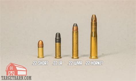 Why The 22 Long Rifle Ammo May Be The Most Efficient Round Why The 22 Long Rifle Ammo May Be The Most Efficient Round