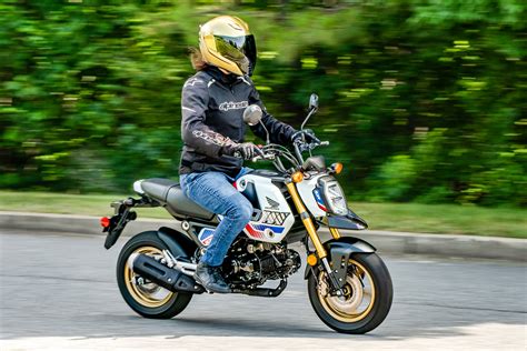 Why You Need To Buy A Honda Grom In 2025 Why You Need To Buy A Honda Grom In 2025