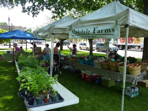 Why You Should Visit The Norwood Farmers Market On The Common In Norwood Massachusetts