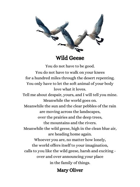 Wild Geese Poem By Mary Oliver Digital Print You Do Not Have To Be Good