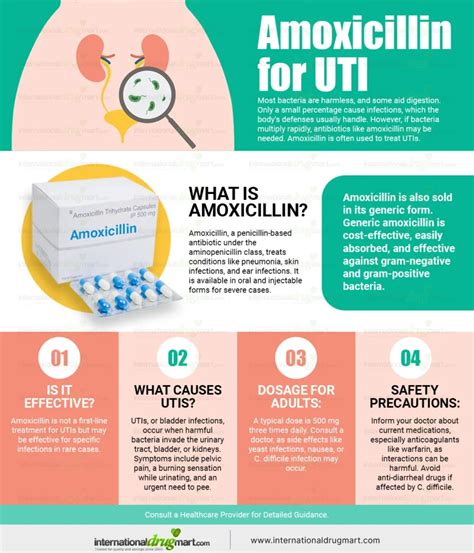 Will Amoxicillin Help A Uti